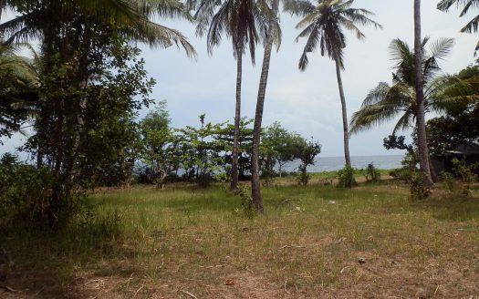 north bali beachfront land for sale